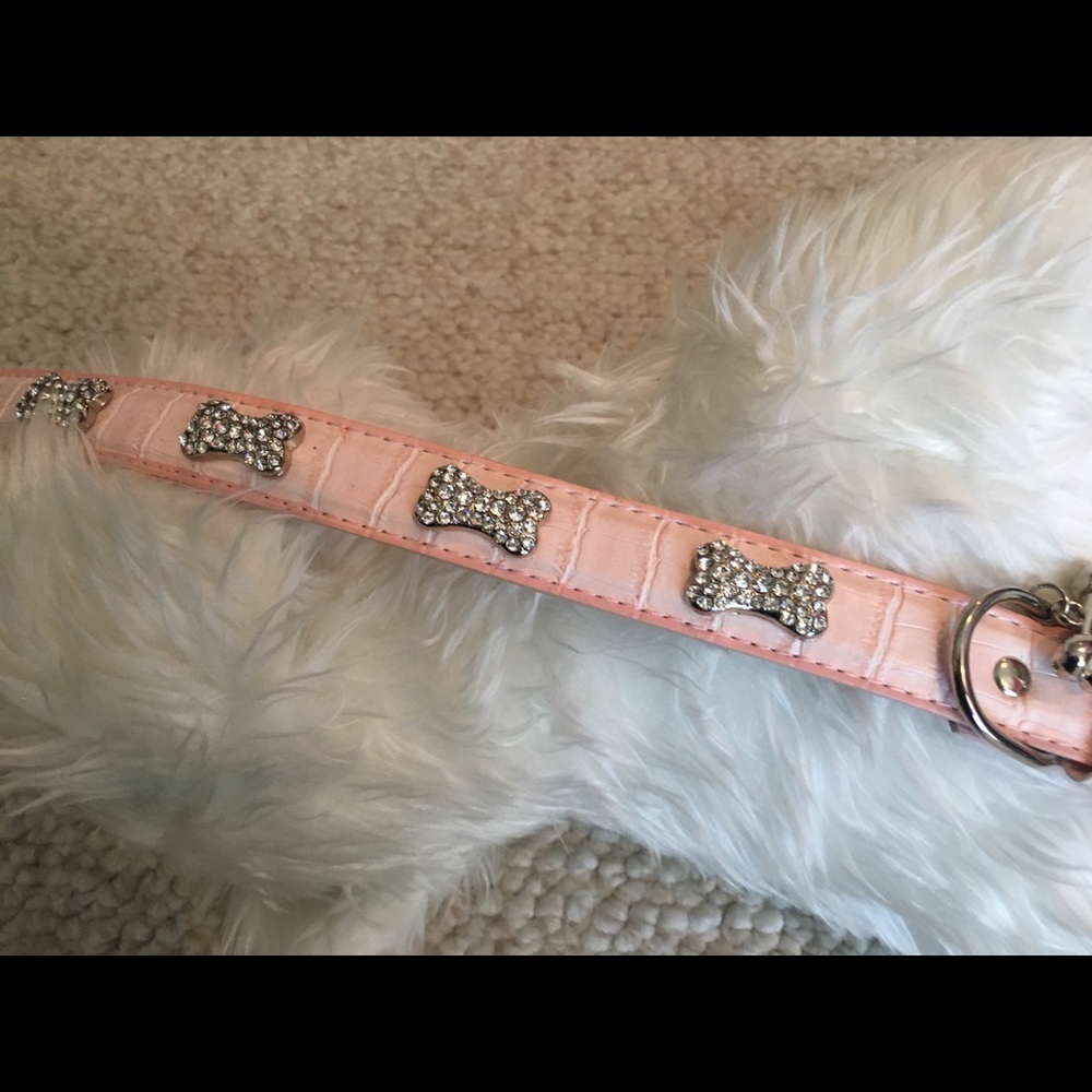 Statement Collar - Picture 3 of 7